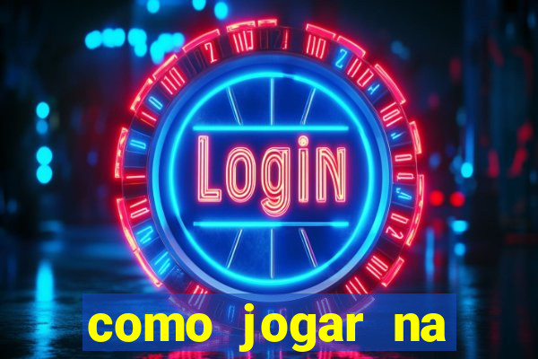 como jogar na lotinha do jogo do bicho